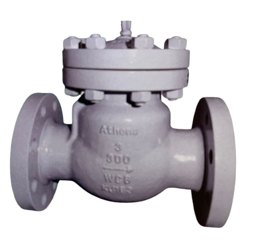 Check Valve
