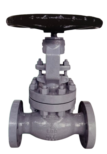Globe Valve